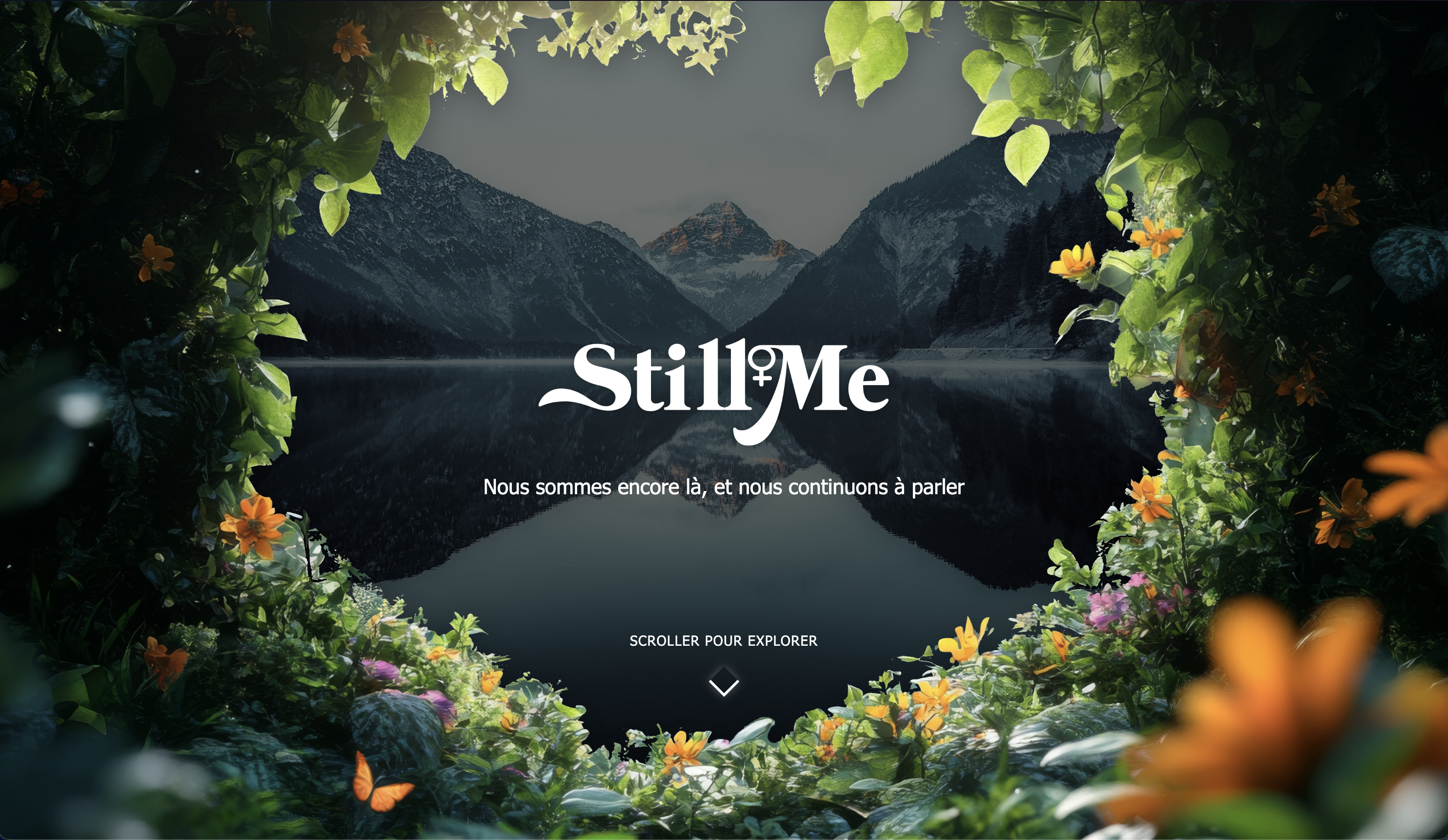 Aperçu du projet StillMe